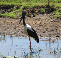 Darwin to Kakadu Day Trip by Air Including Yellow Water Cruise - Attractions Melbourne