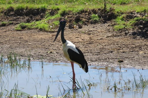 Darwin To Kakadu Day Trip By Air Including Yellow Water Cruise - Attractions Melbourne 0