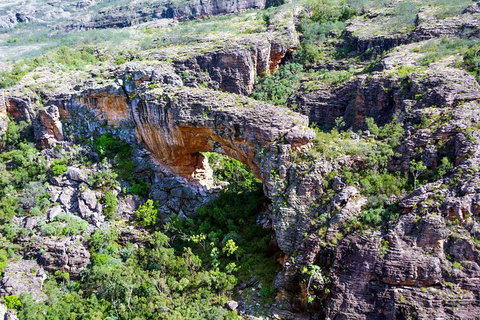 Darwin To Kakadu Day Trip By Air Including Yellow Water Cruise - Attractions Melbourne 4