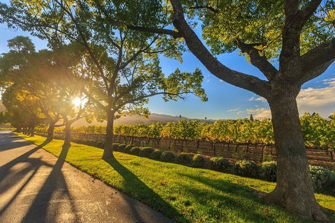 Very Best Of Perth Tour - Wildlife Park & City Highlights Tour - Attractions Melbourne 2