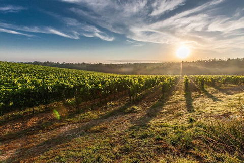Perth To Margaret River Wine Tour - 2 Day Premium Boutique Wine Tour Experience - Attractions Melbourne 0