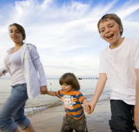 Phillip Island Penguin and Koala Highlights Day-Trip from Melbourne - Attractions Melbourne