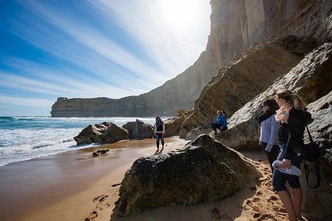 2-Day Melbourne To Adelaide Tour: Great Ocean Road And Grampians One Way Trip - Attractions Melbourne 1