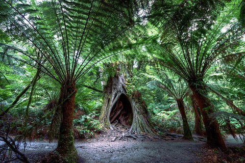 2-Day Melbourne To Adelaide Tour: Great Ocean Road And Grampians One Way Trip - Attractions Melbourne 3