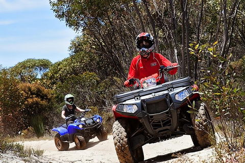 Kangaroo Island Quad Bike (ATV) Tours - Attractions Melbourne 5