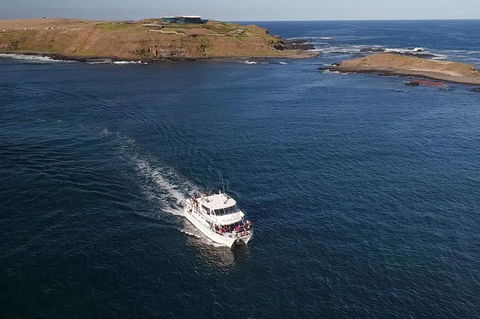 Phillip Island Seal-Watching Cruise - Attractions Melbourne 1