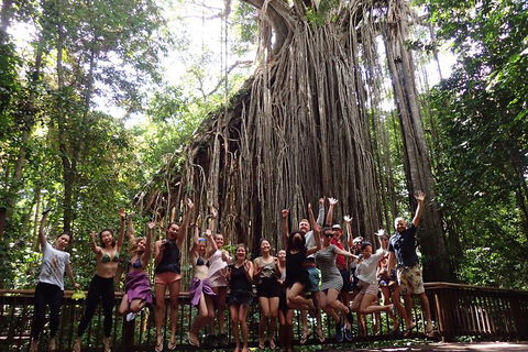 Atherton Tablelands Waterfalls Tour From Cairns - Attractions Melbourne 5