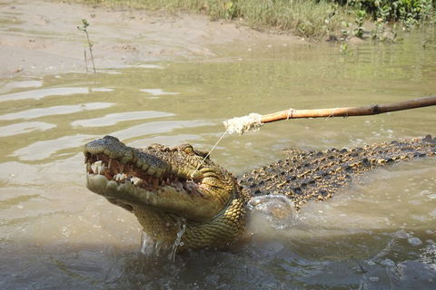 Litchfield And Jumping Crocodiles Full Day Trip From Darwin - Attractions Melbourne 4