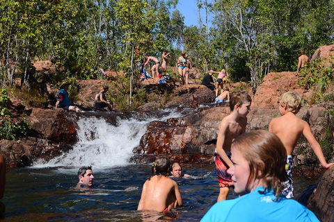 Litchfield And Jumping Crocodiles Full Day Trip From Darwin - Attractions Melbourne 5