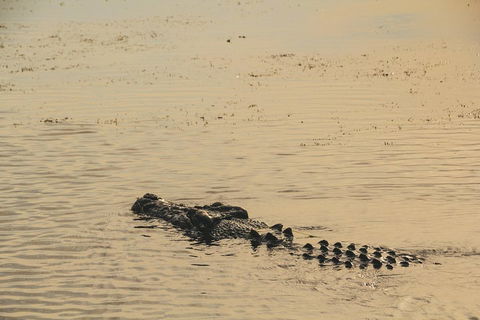 Yellow Water Cruise - Kakadu - Attractions Melbourne 2