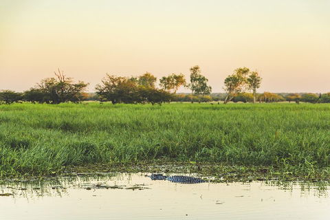 Yellow Water Cruise - Kakadu - Attractions Melbourne 3