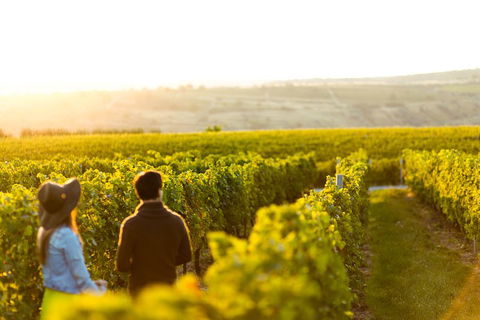 Margaret River Private Tour - Attractions Melbourne 2
