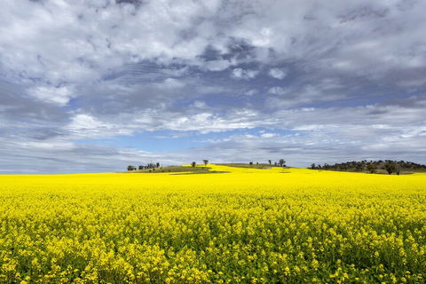 Wave Rock Private Tour - Attractions Melbourne 3