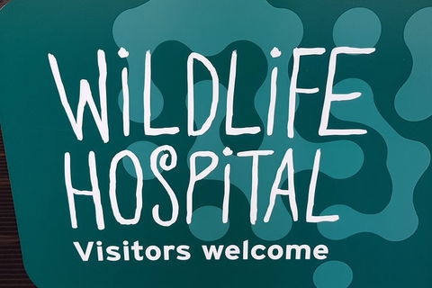 Healesville Sanctuary And Rayners Orchard Tour From Melbourne - Attractions Melbourne 1