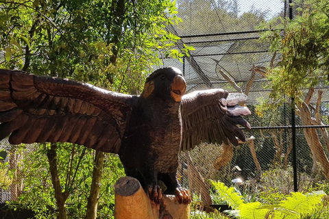 Healesville Sanctuary And Rayners Orchard Tour From Melbourne - Attractions Melbourne 2