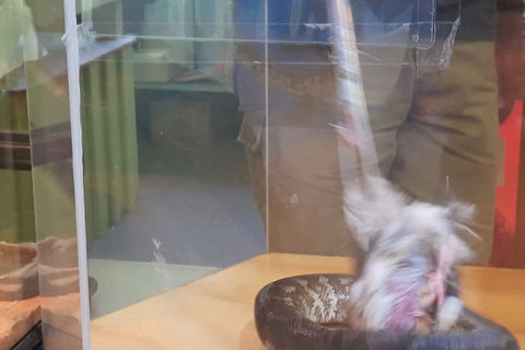 Healesville Sanctuary And Rayners Orchard Tour From Melbourne - Attractions Melbourne 4