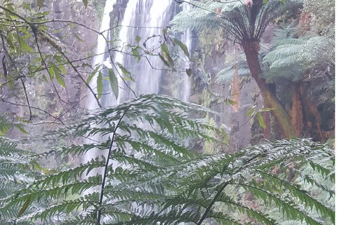 2 Day Great Ocean Road Tour And Platypus Paddle - Attractions Melbourne 1