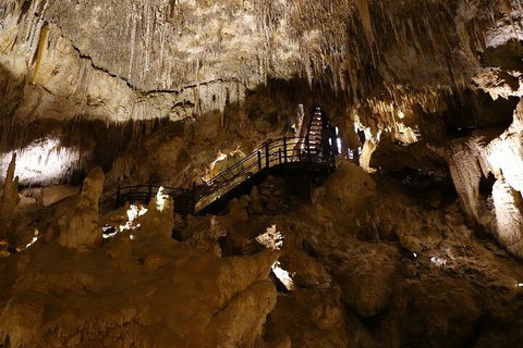 Ngilgi Cave Semi-guided Tour - Attractions Melbourne 2