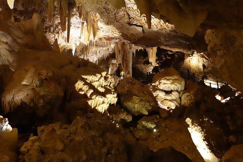 Ngilgi Cave Semi-guided Tour - Attractions Melbourne 3