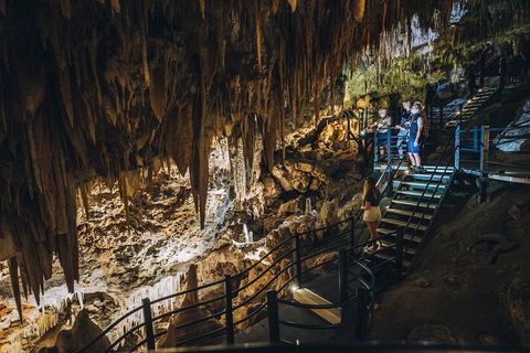 Ngilgi Cave Semi-guided Tour - Attractions Melbourne 5