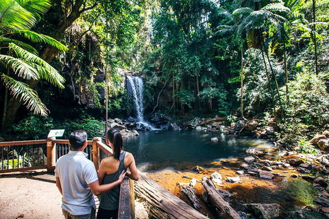 Aquaduck & Your Choice Of Gold Coast Rainforest Tour - Attractions Melbourne 0