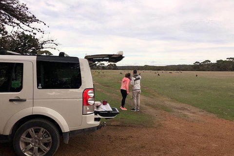 Kangaroo Island 4WD Tour - Flinders Chase - Attractions Melbourne 3