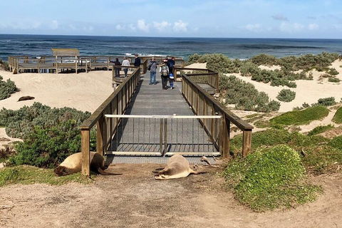 Kangaroo Island 4WD Tour - Best Of KI - Attractions Melbourne 2