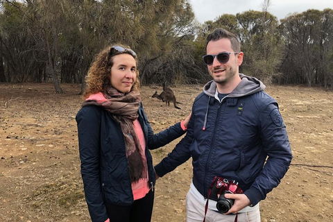 Kangaroo Island 4WD Tour - Best Of KI - Attractions Melbourne 3