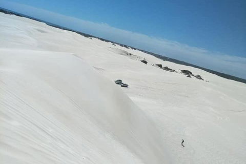 Yanchep & Lancelin - Wildlife, Cave And Sands - Attractions Melbourne 3