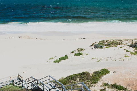 Yanchep & Lancelin - Wildlife, Cave And Sands - Attractions Melbourne 5