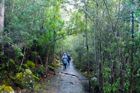 Kunanyi/Mt Wellington Tour & Hobart Hop-On Hop-Off Bus - Attractions Melbourne 1