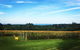 Yarra Valley Private Car Winery Tour And Chocolate.1-7 Passengers One Car Price - thumb 0