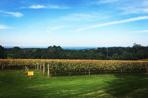 Yarra Valley Private Car Winery Tour And Chocolate.1-7 Passengers One Car Price - Attractions Melbourne 0