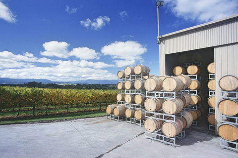 Yarra Valley Private Car Winery Tour And Chocolate.1-7 Passengers One Car Price - Attractions Melbourne 2