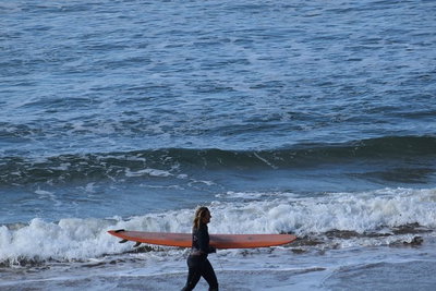 Private Day Tour of Phillip Island Wildlife and Brighton Beach