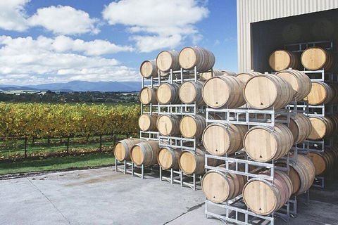 Yarra Valley Wine Tour Inc Lunch With A Glass Of Wine, Tastings And Chocolate - Attractions Melbourne 4