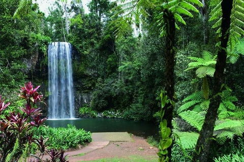 Paronella Park And Millaa Millaa Falls Full-day Tour From Cairns - Attractions Melbourne 3