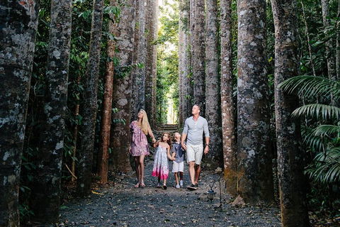 Paronella Park And Millaa Millaa Falls Full-day Tour From Cairns - Attractions Melbourne 5