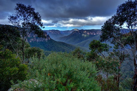 Ultimate Blue Mountains And Wildlife Tour - Attractions Melbourne 1