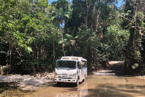 Cairns To Cooktown 4WD Tour - Attractions Melbourne 5