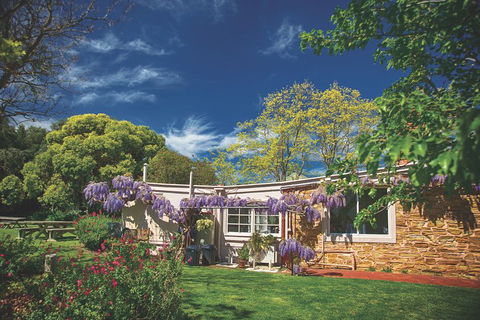 McLaren Vale Winery Small Group Tour With Wine Tasting And Lunch - Attractions Melbourne 2
