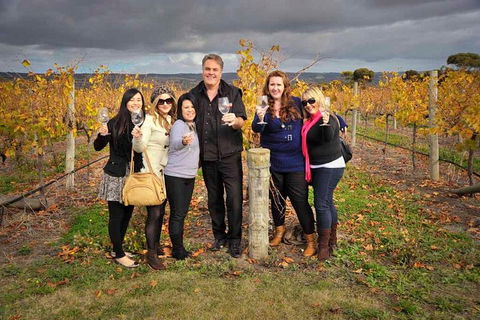 McLaren Vale Winery Small Group Tour With Wine Tasting And Lunch - Attractions Melbourne 3