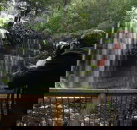 Mt Field and Styx Valley Photography Tour - Attractions Melbourne