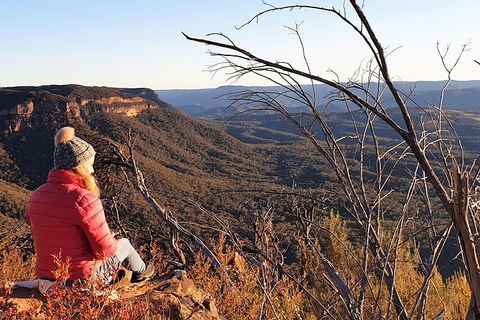 Ultimate Blue Mountains Waterfalls, Walks & Sunset PRIVATE Tour - Attractions Melbourne 2