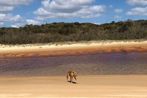 Pippies 3 Days 2 Nights Fraser Island Tour - Attractions Melbourne 2