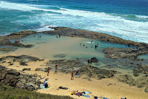 Pippies 3 Days 2 Nights Fraser Island Tour - Attractions Melbourne 5