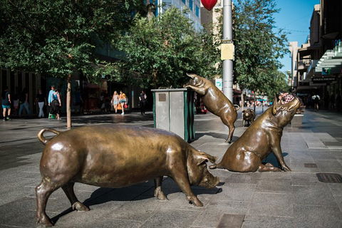 Guided Walking Tour In Adelaide - Attractions Melbourne 4