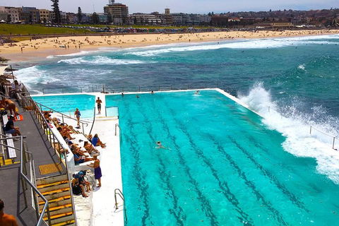 Private Sydney Half Day Tour Including Sydney Opera House And Bondi Beach - Attractions Melbourne 1