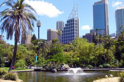 Private Sydney Half Day Tour Including Sydney Opera House And Bondi Beach - Attractions Melbourne 4
