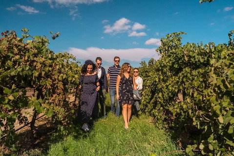 Barossa Valley Private Tour (from 2 To 11 People) - Attractions Melbourne 0